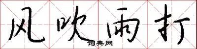 风吹雨打
