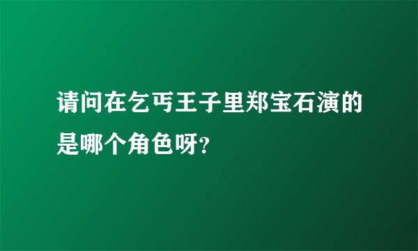 请问在乞丐王子里郑宝石演的是哪个角色呀？