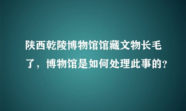 陕西乾陵博物馆馆藏文物长毛了，博物馆是如何处理此事的？