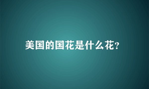 美国的国花是什么花？