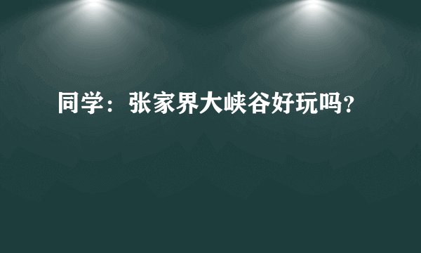 同学：张家界大峡谷好玩吗？