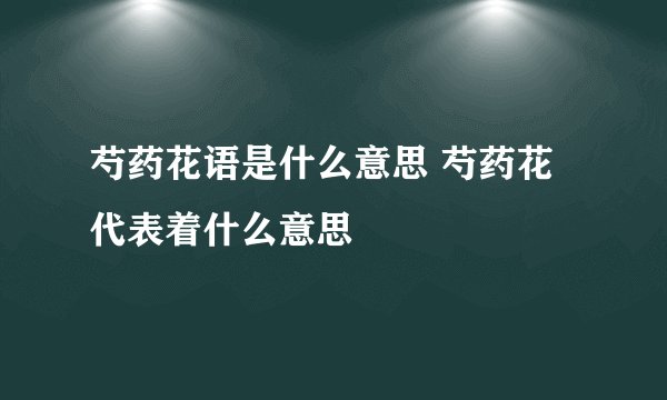 芍药花语是什么意思 芍药花代表着什么意思