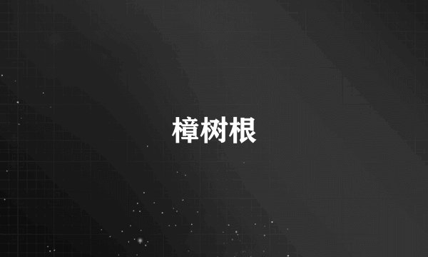 樟树根