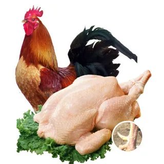 鸡肉价格