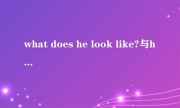 what does he look like?与how does he look like?的区别