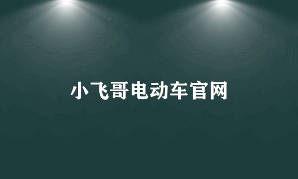 小飞哥电动车官网
