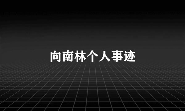 向南林个人事迹