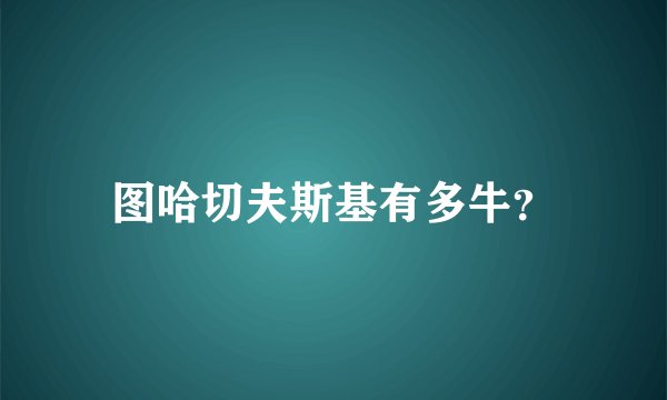 图哈切夫斯基有多牛？