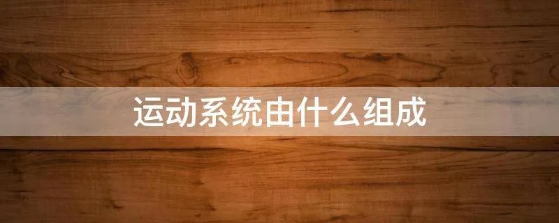 运动系统由什么组成