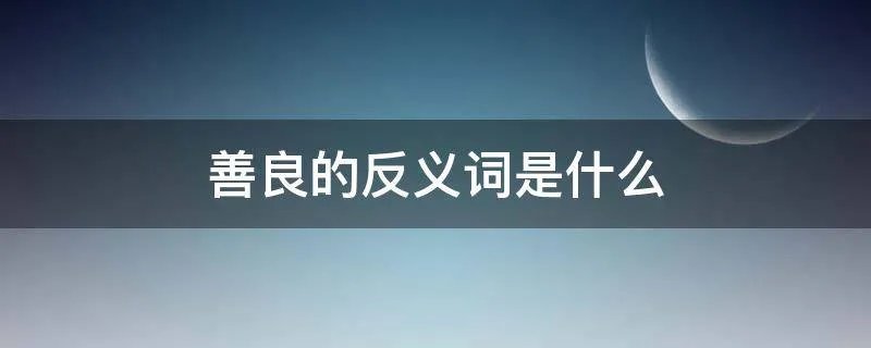 善良的反义词是什么