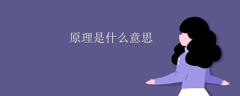 原理是什么意思