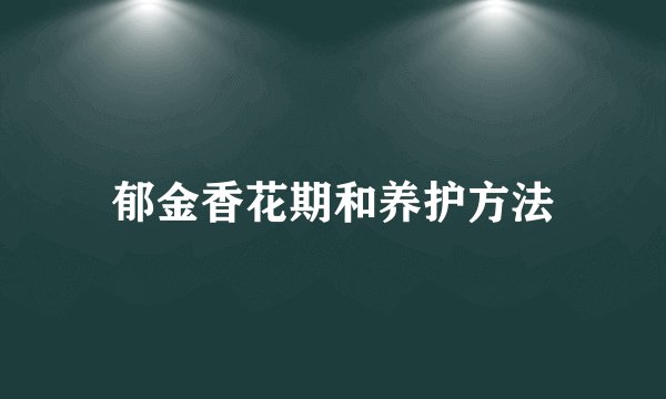 郁金香花期和养护方法
