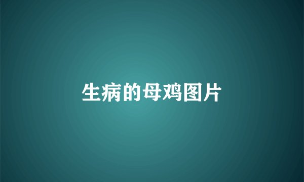 生病的母鸡图片