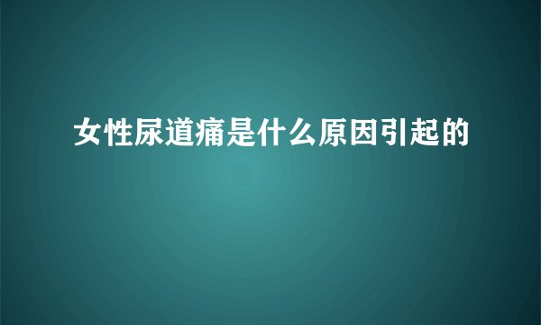 女性尿道痛是什么原因引起的