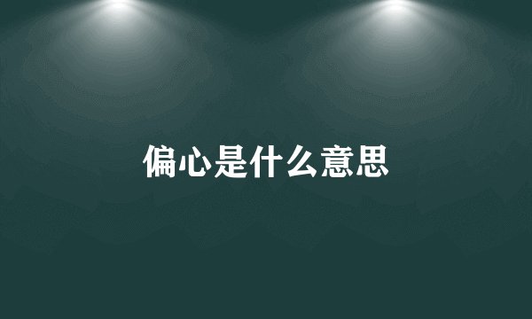 偏心是什么意思