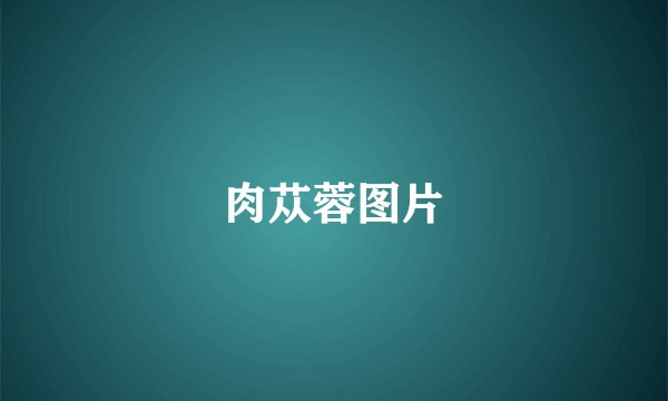 肉苁蓉图片