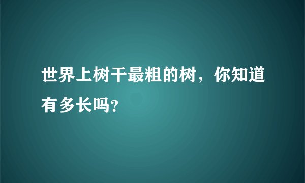 世界上树干最粗的树，你知道有多长吗？
