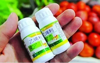 乙烯利的作用与功效分别是?