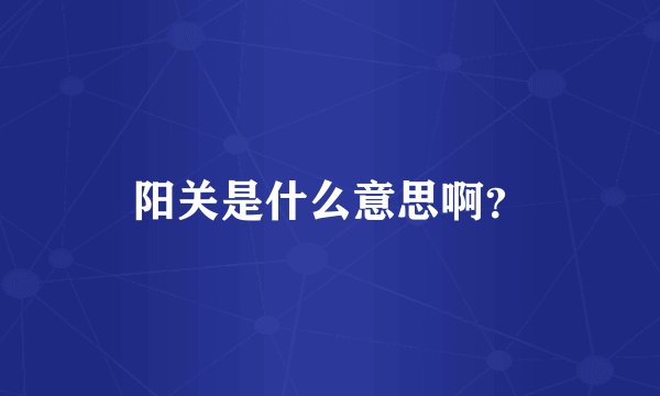 阳关是什么意思啊？