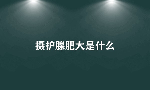 摄护腺肥大是什么