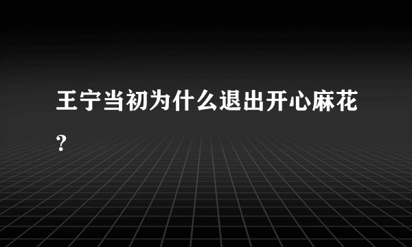 王宁当初为什么退出开心麻花？