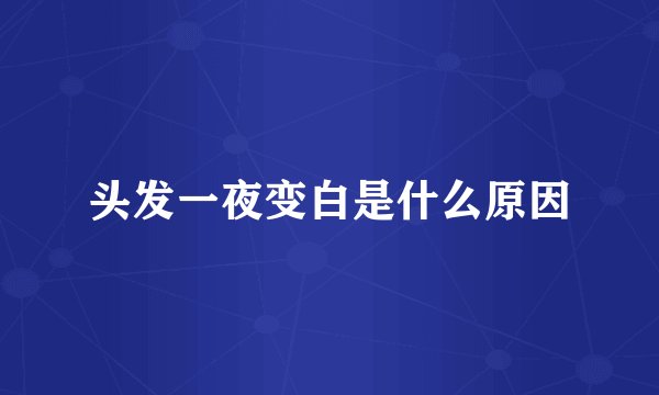 头发一夜变白是什么原因