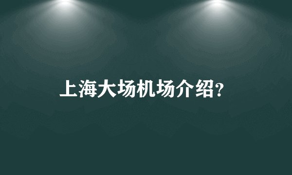 上海大场机场介绍?