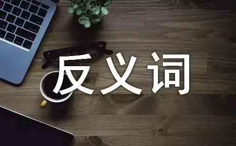 抱怨的反义词