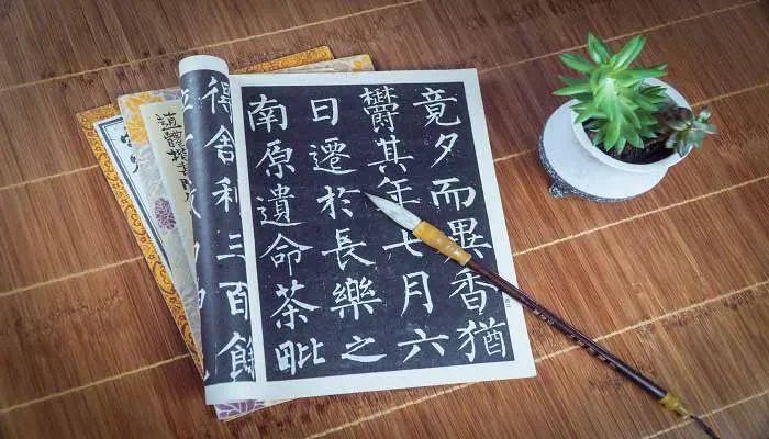 菇组词有哪些