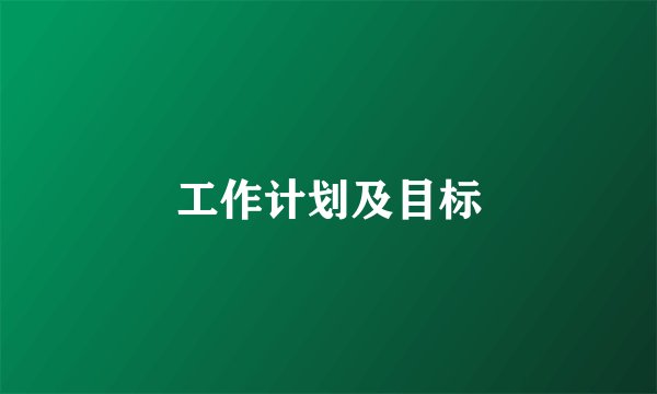 工作计划及目标