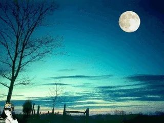 上联:日近西山倦鸟归,西来庵怎么对?