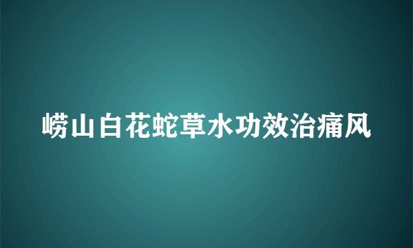 崂山白花蛇草水功效治痛风