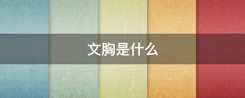 文胸是什么