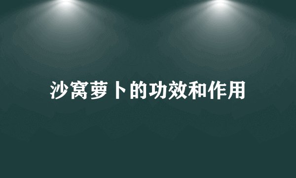 沙窝萝卜的功效和作用