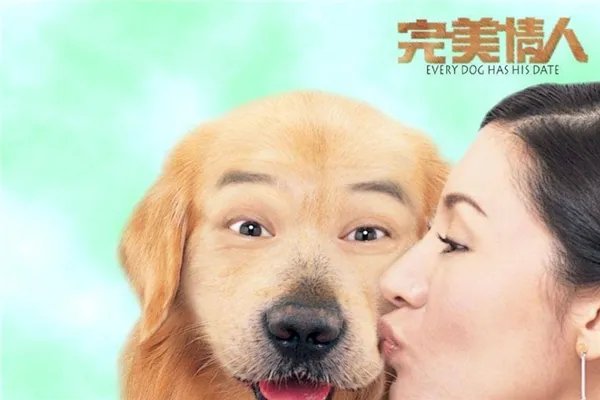 中国关于狗的电影十大排行榜 这些和狗相关的电影都看过吗