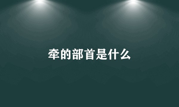 牵的部首是什么