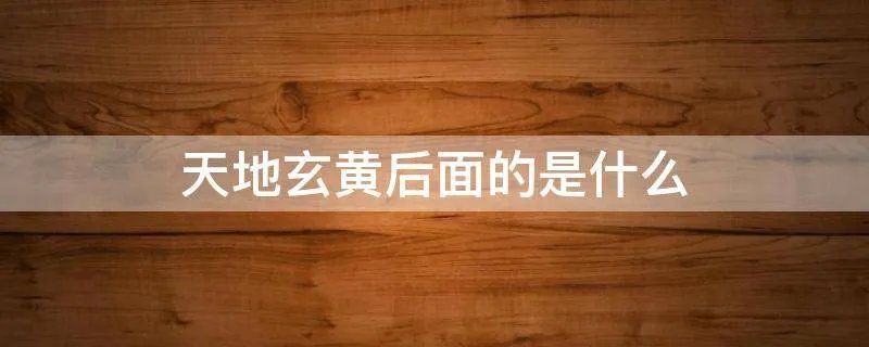 天地玄黄后面的是什么