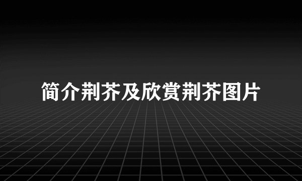 简介荆芥及欣赏荆芥图片
