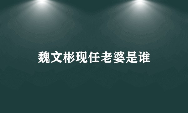 魏文彬现任老婆是谁