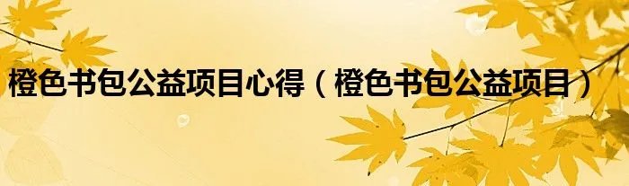 橙色书包公益项目心得（橙色书包公益项目）