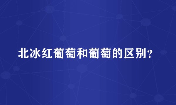 北冰红葡萄和葡萄的区别？