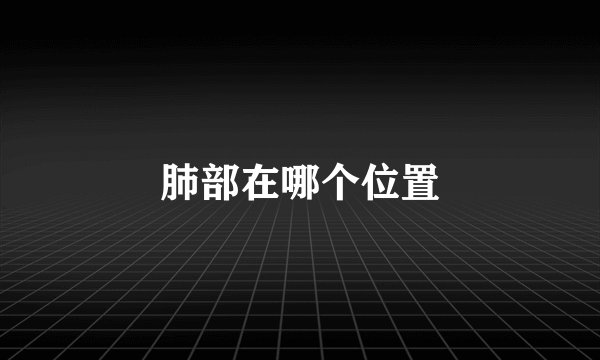 肺部在哪个位置