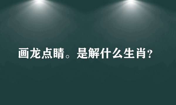 画龙点睛。是解什么生肖？