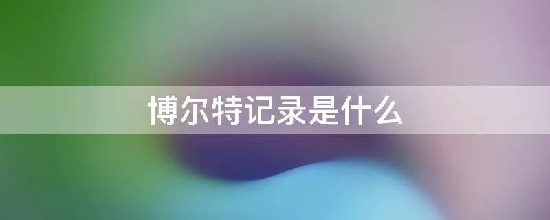博尔特记录是什么