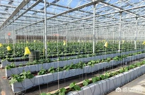 什么是设施农业?