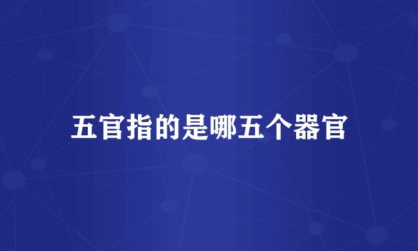 五官指的是哪五个器官