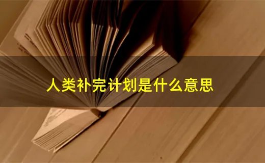 人类补完计划是什么意思