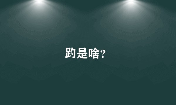 趵是啥？