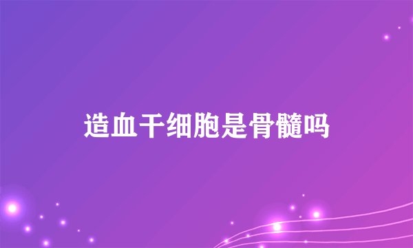 造血干细胞是骨髓吗