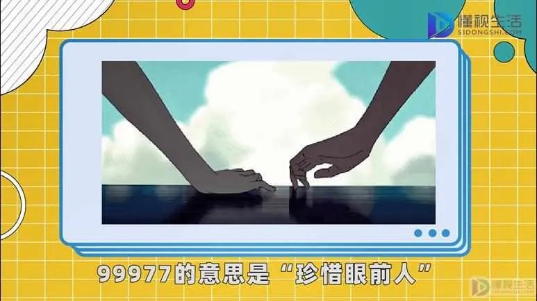 请问99977是什么意思